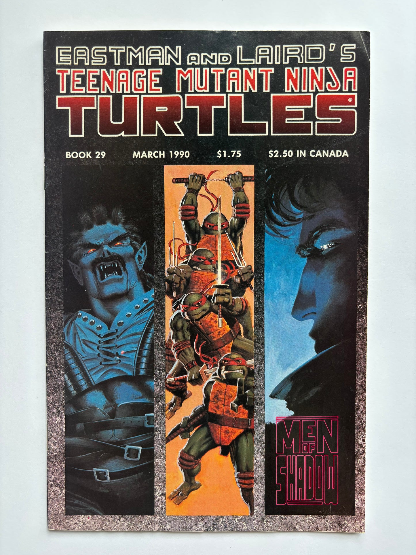 Teenage Mutant Ninja Turtles (1984 Series) #29