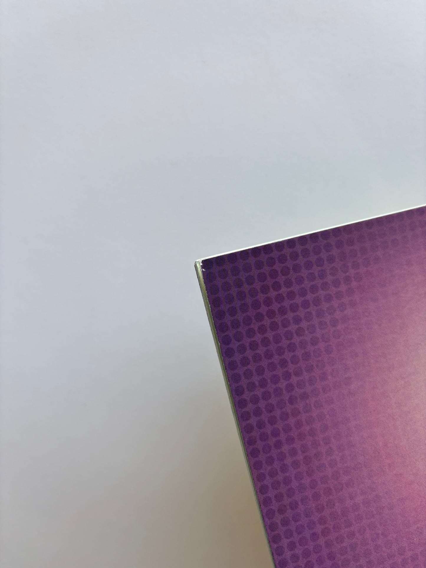 Invincible (2003) #2 2024 SDCC Exclusive Virgin Variant