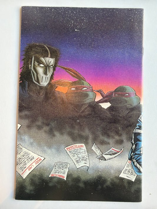 Teenage Mutant Ninja Turtles Vol 1 #11