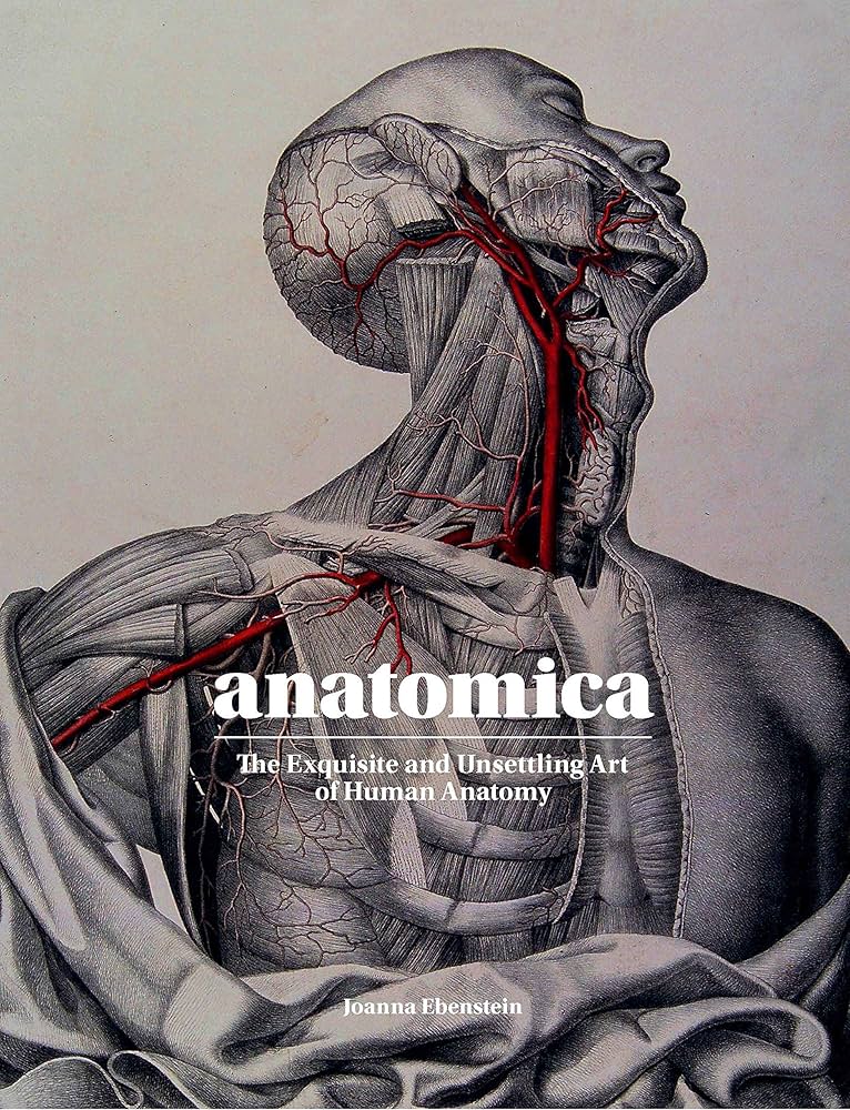 Anatomica - Exquisite and Unsettling Art of Human Anatomy