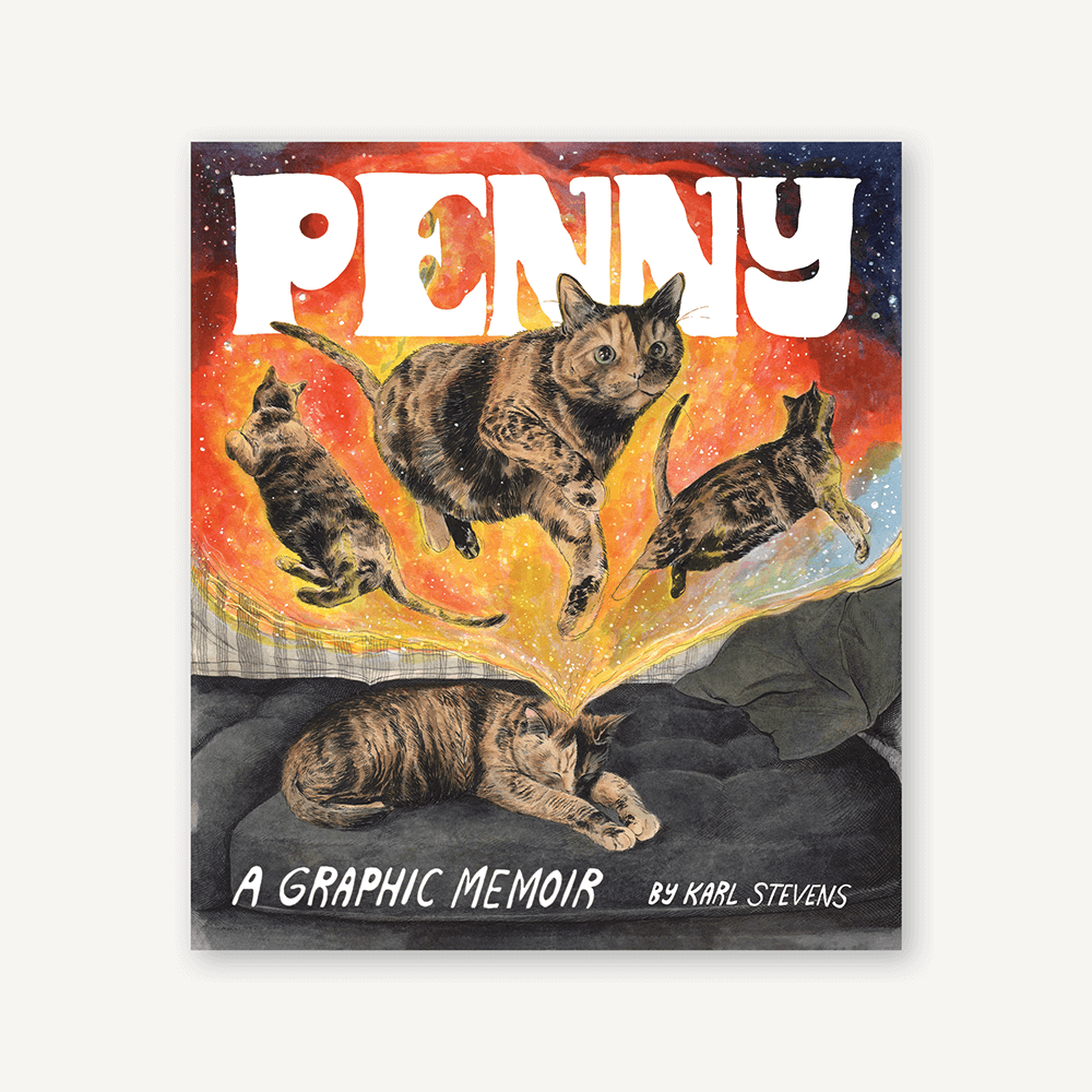 Penny A Graphic Memoir