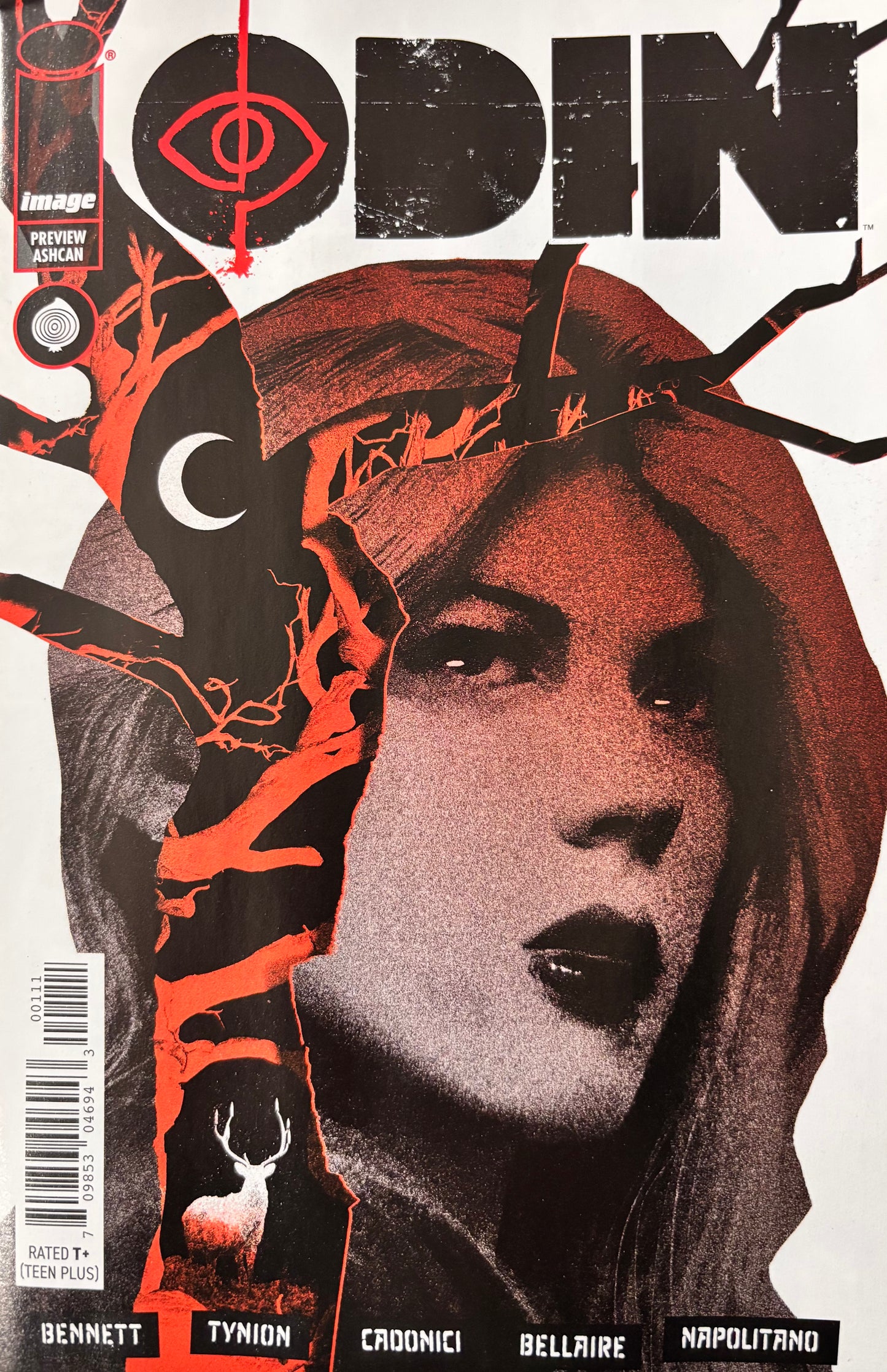 If Destruction Be Our Lot & ODIN #1 Preview Ashcan