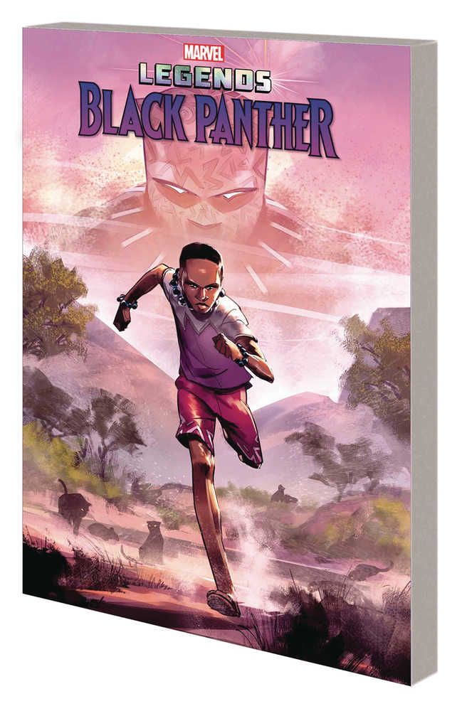 Graphic Novels, Black Panther Series