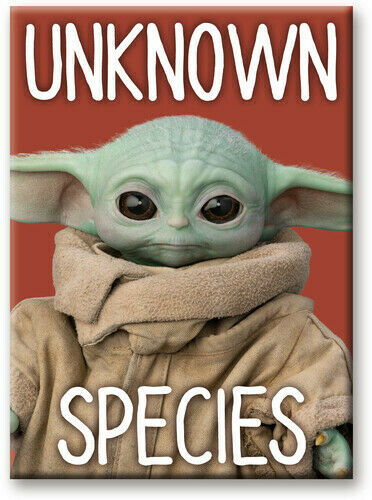 Star Wars The Mandalorian "Unknown Species" Magnet