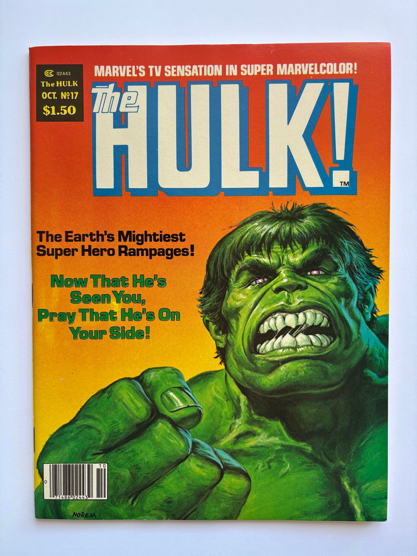 Rampaging Hulk (1977 Magazine) #17