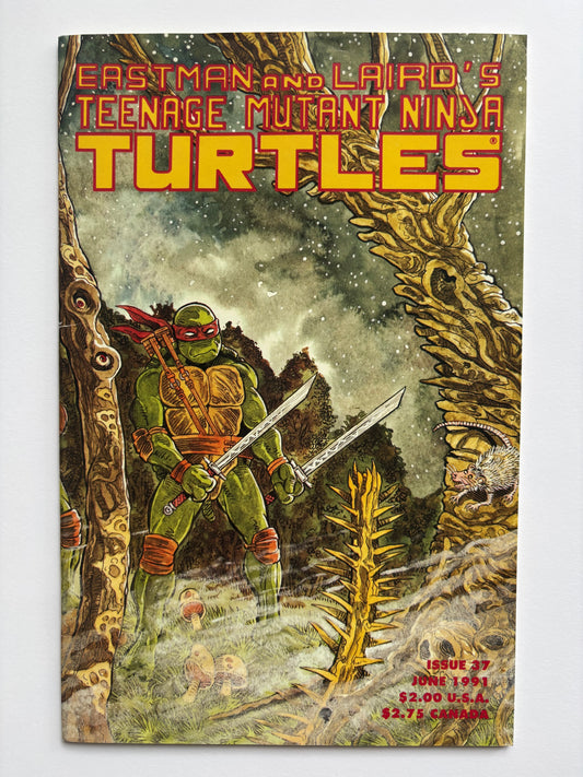 Teenage Mutant Ninja Turtles (1984 Series) #37