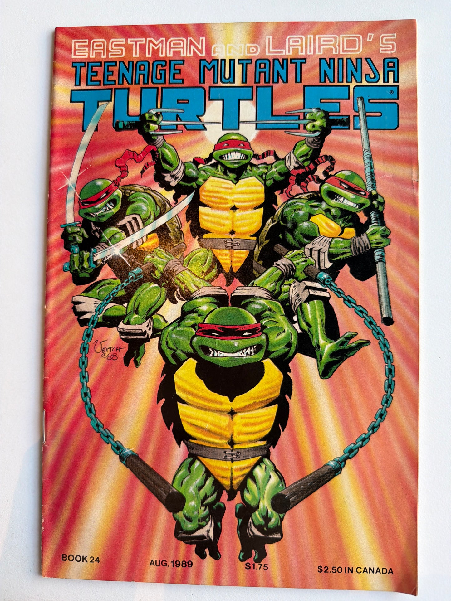 Teenage Mutant Ninja Turtles Vol 1 #24