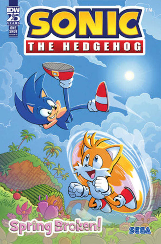 Sonic The Hedgehog Spring Broken #1 Cover C 10 Copy Bulmer