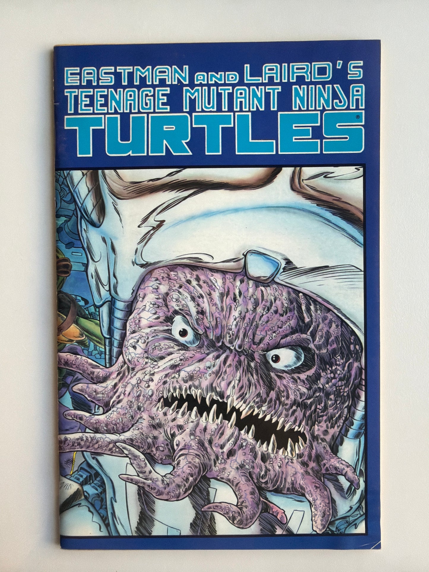 Teenage Mutant Ninja Turtles Vol 1 #7
