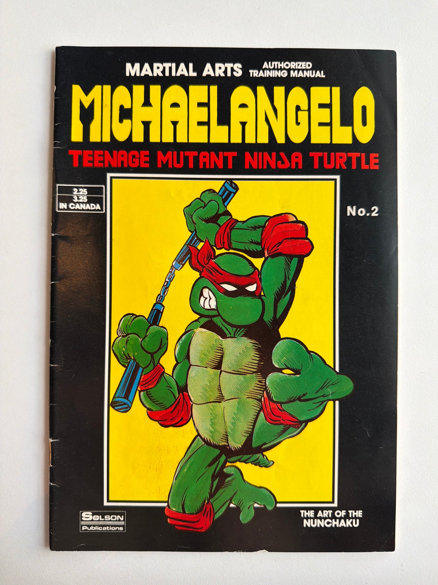 Solson Martial Arts Michelangelo (TMNT) #2