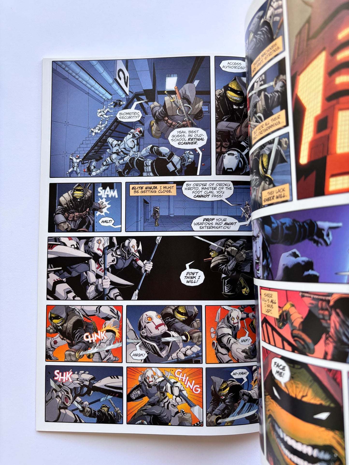 Teenage Mutant Ninja Turtles The Last Ronin (2020 Series) #1