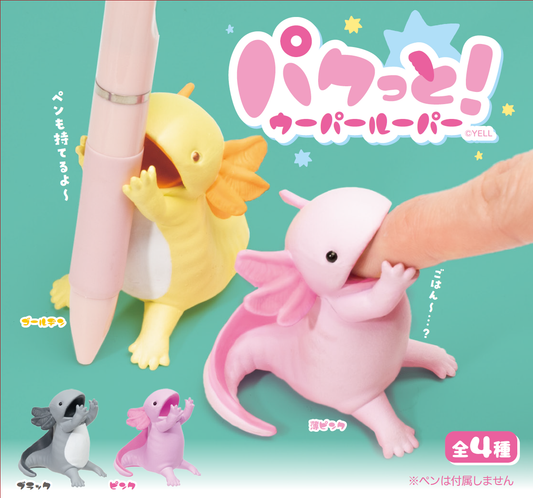 PAKUTTO! AXOLOTL SURPRISE BOX