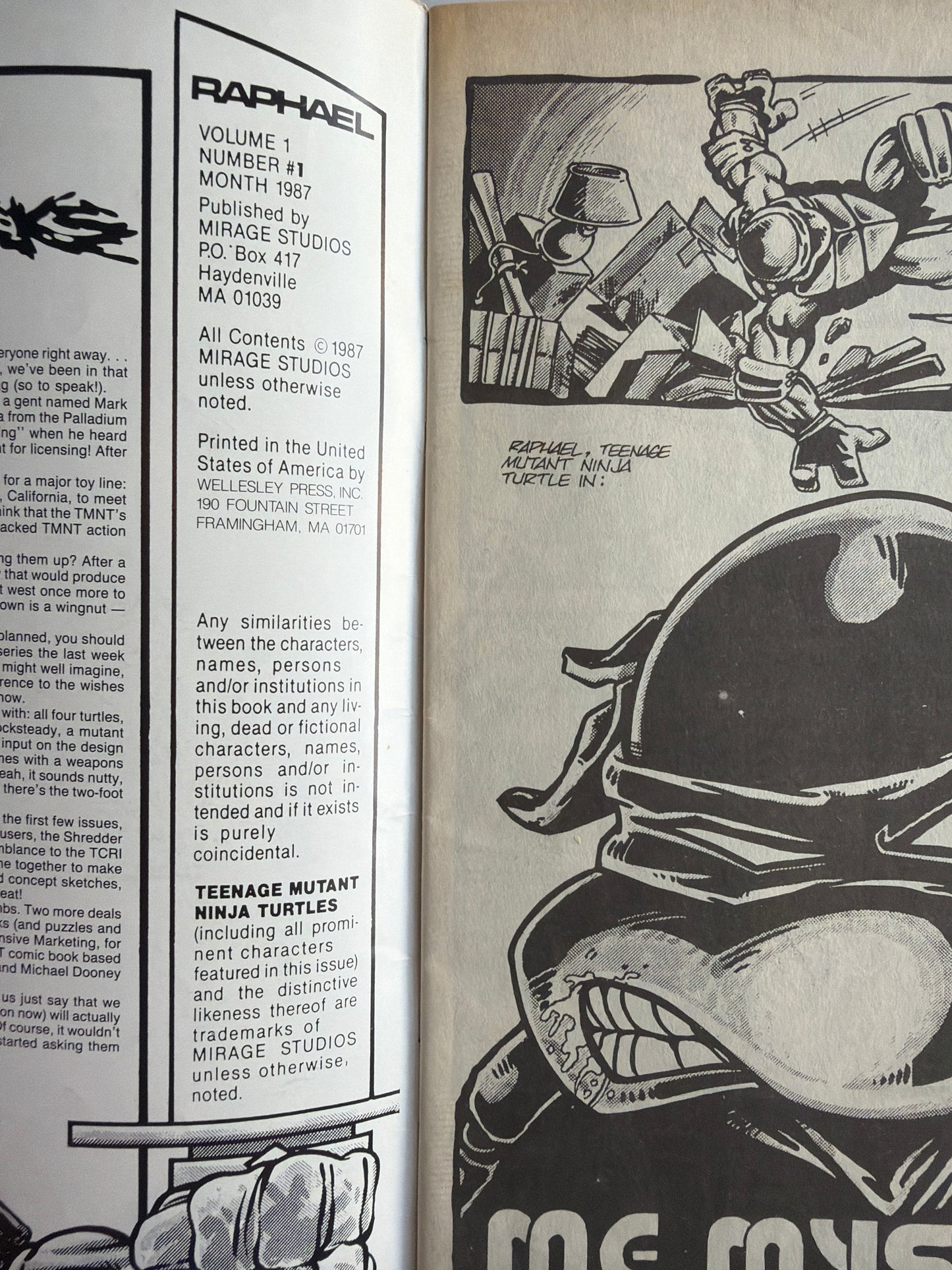 Raphael (TMNT) One shot