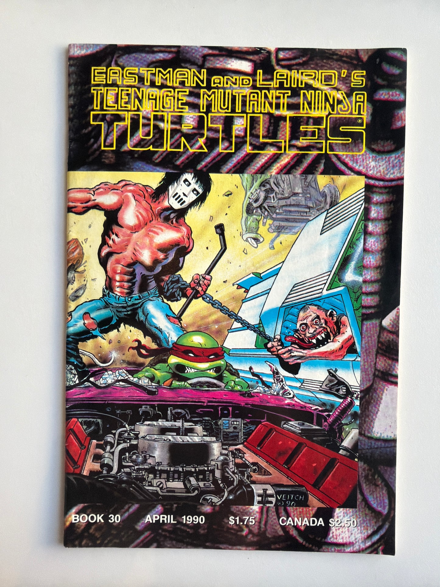 Teenage Mutant Ninja Turtles Vol 1 #30