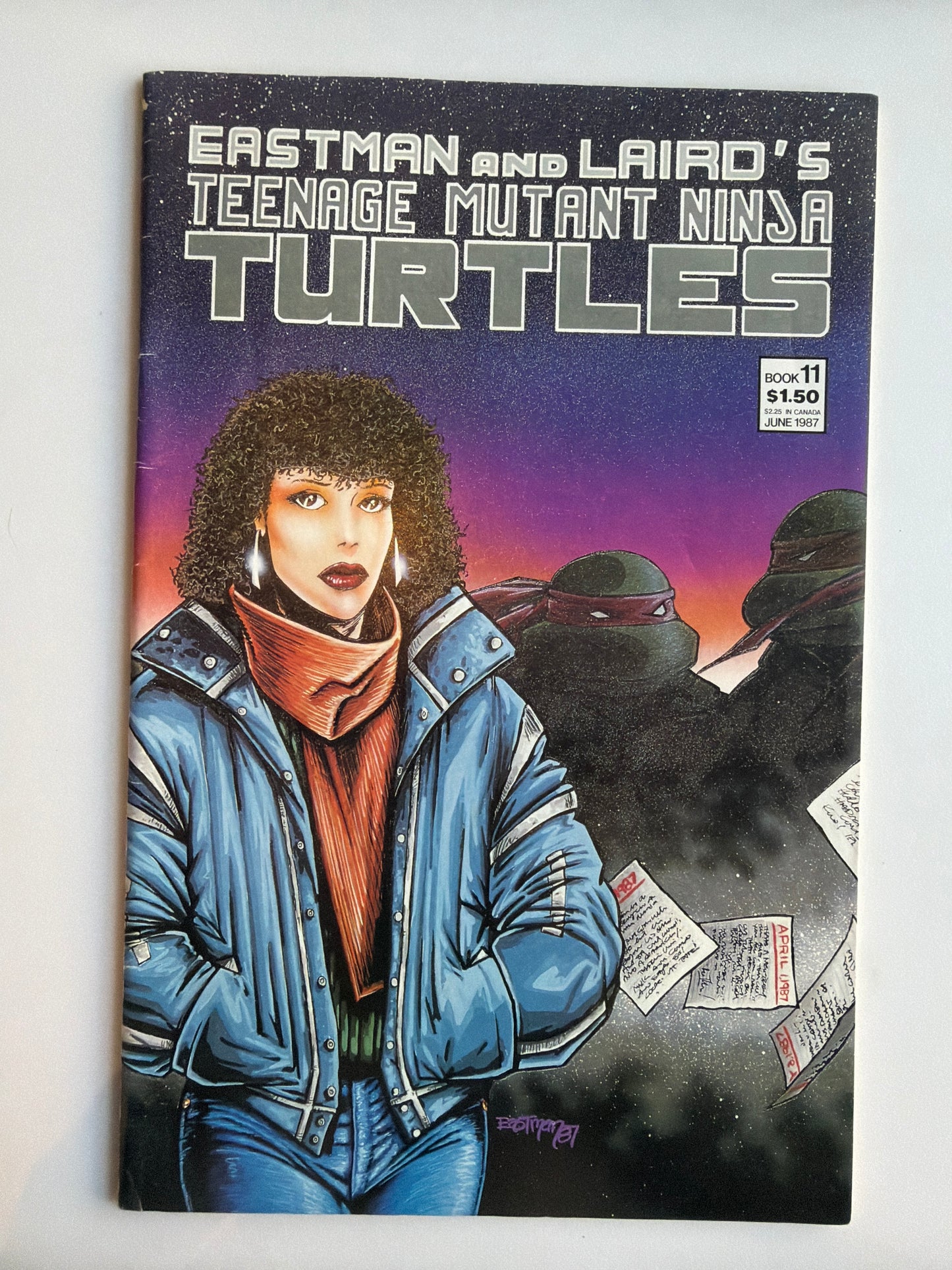 Teenage Mutant Ninja Turtles Vol 1 #11