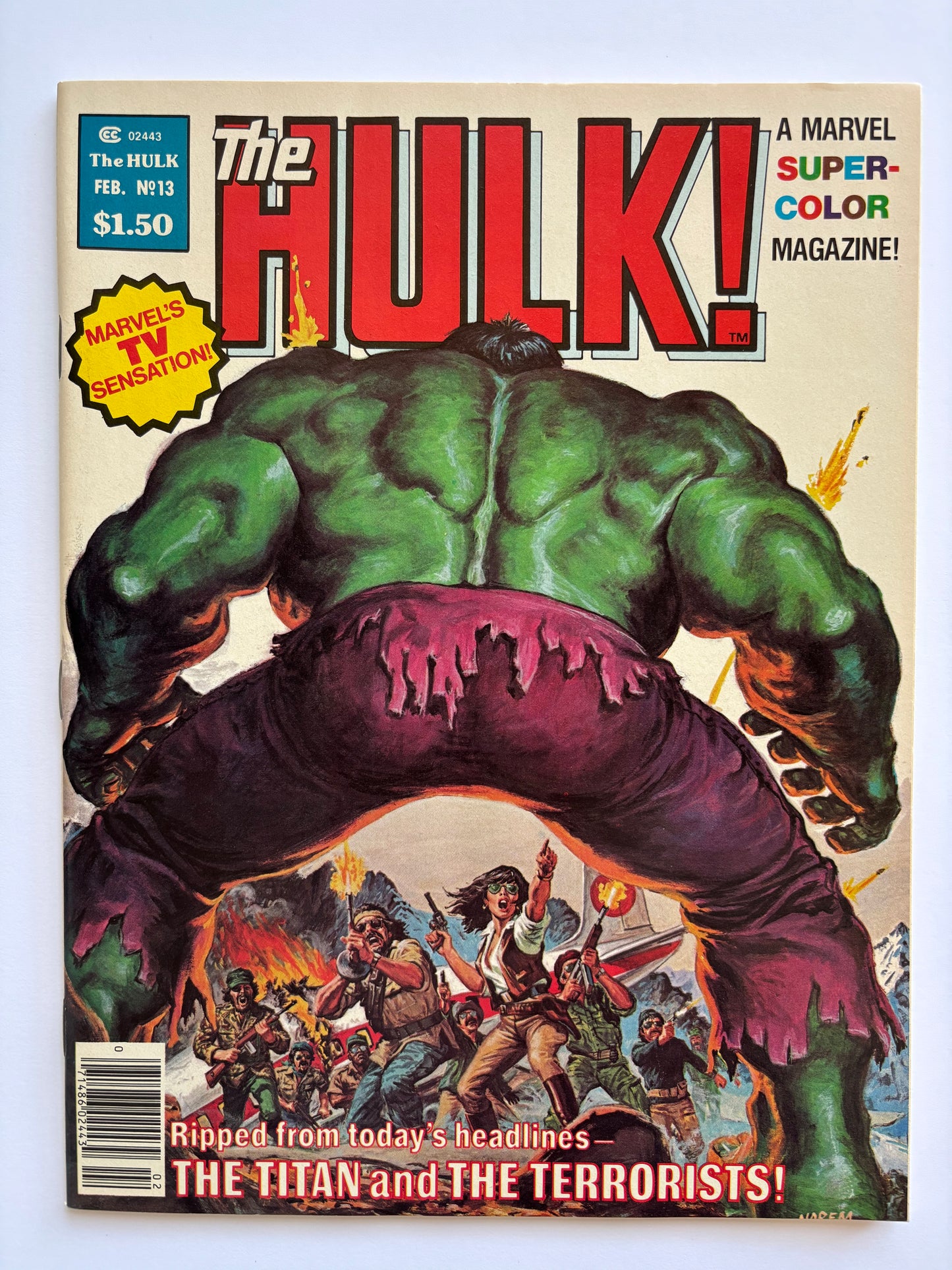 Rampaging Hulk (1977 Magazine) #13