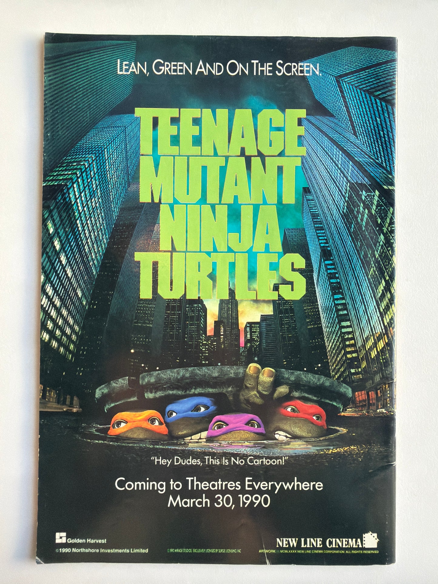 Teenage Mutant Ninja Turtles Vol 1 #28