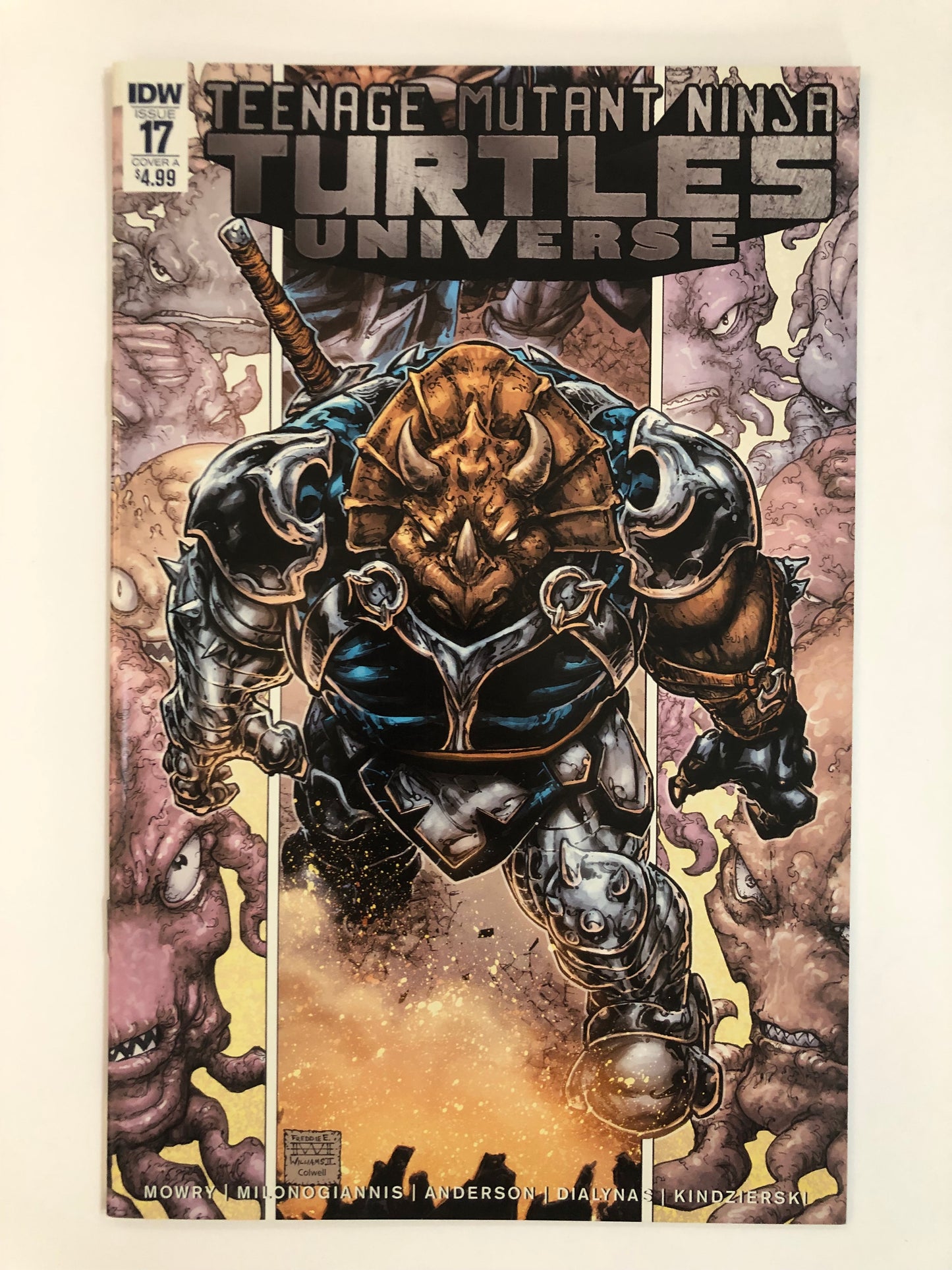 Teenage Mutant Ninja Turtles Universe (2017) #17