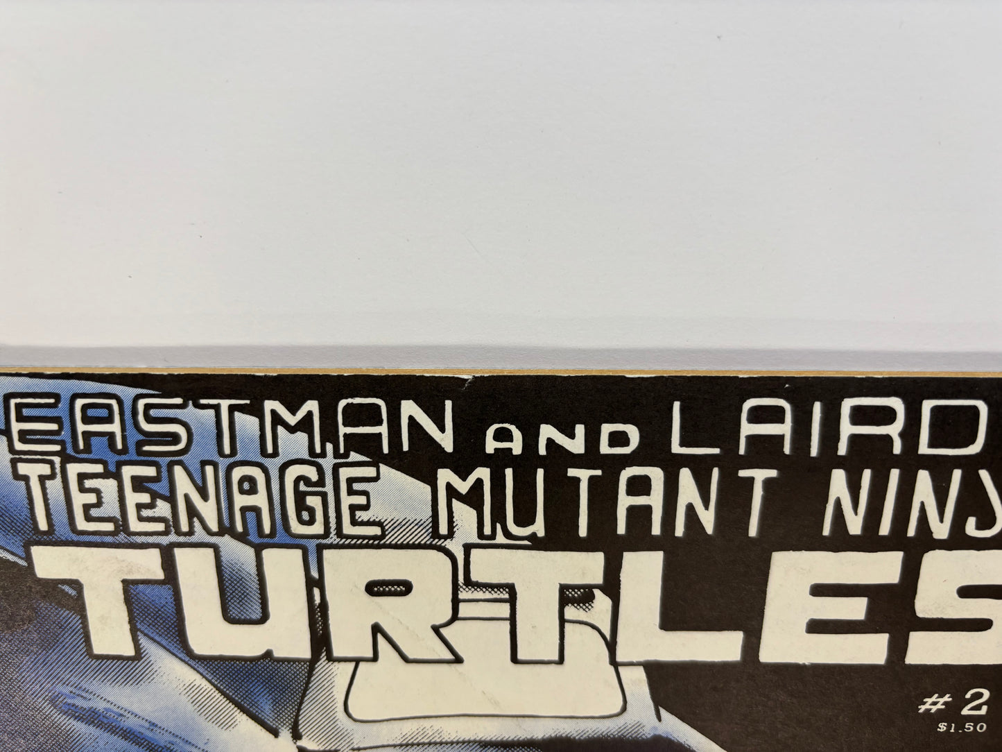 Teenage Mutant Ninja Turtles (1984 Series) #2 Second Printing