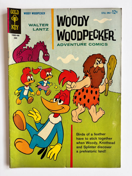 Woody Woodpecker (1964) #80
