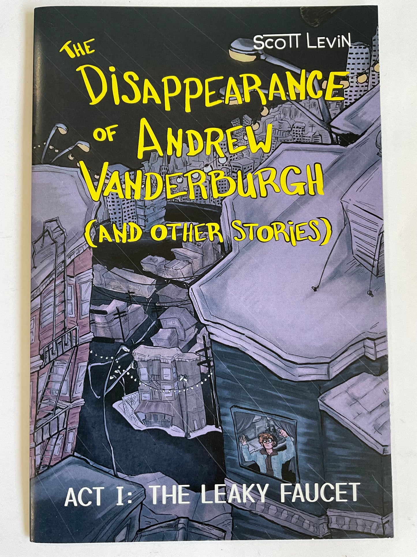 The Disappearance of Andrew Vanderburgh (And Other Stories)