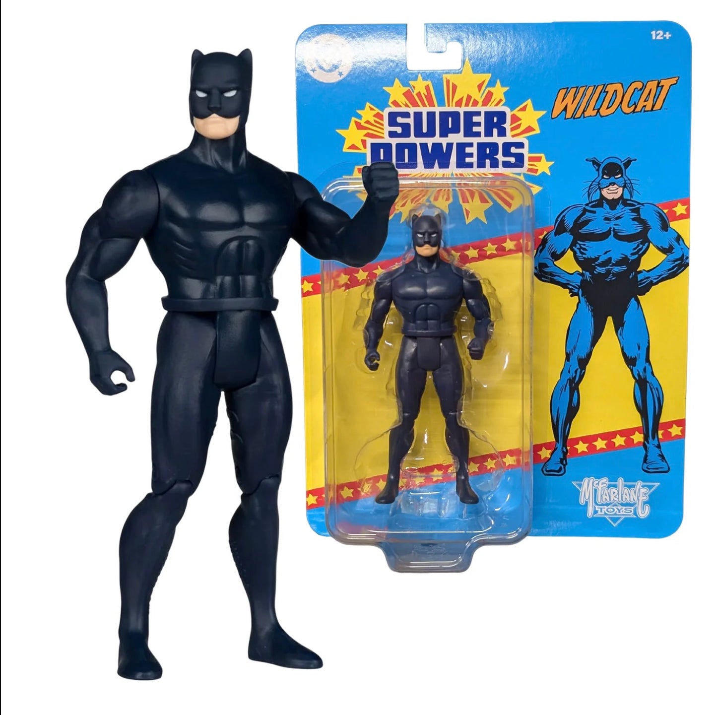 DC Direct Superpowers Wildcat 5in Action Figure (Copy)