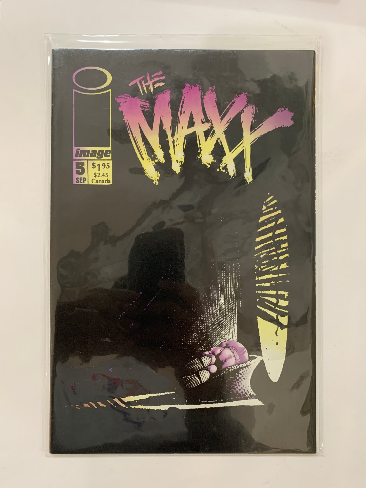 The Maxx #5