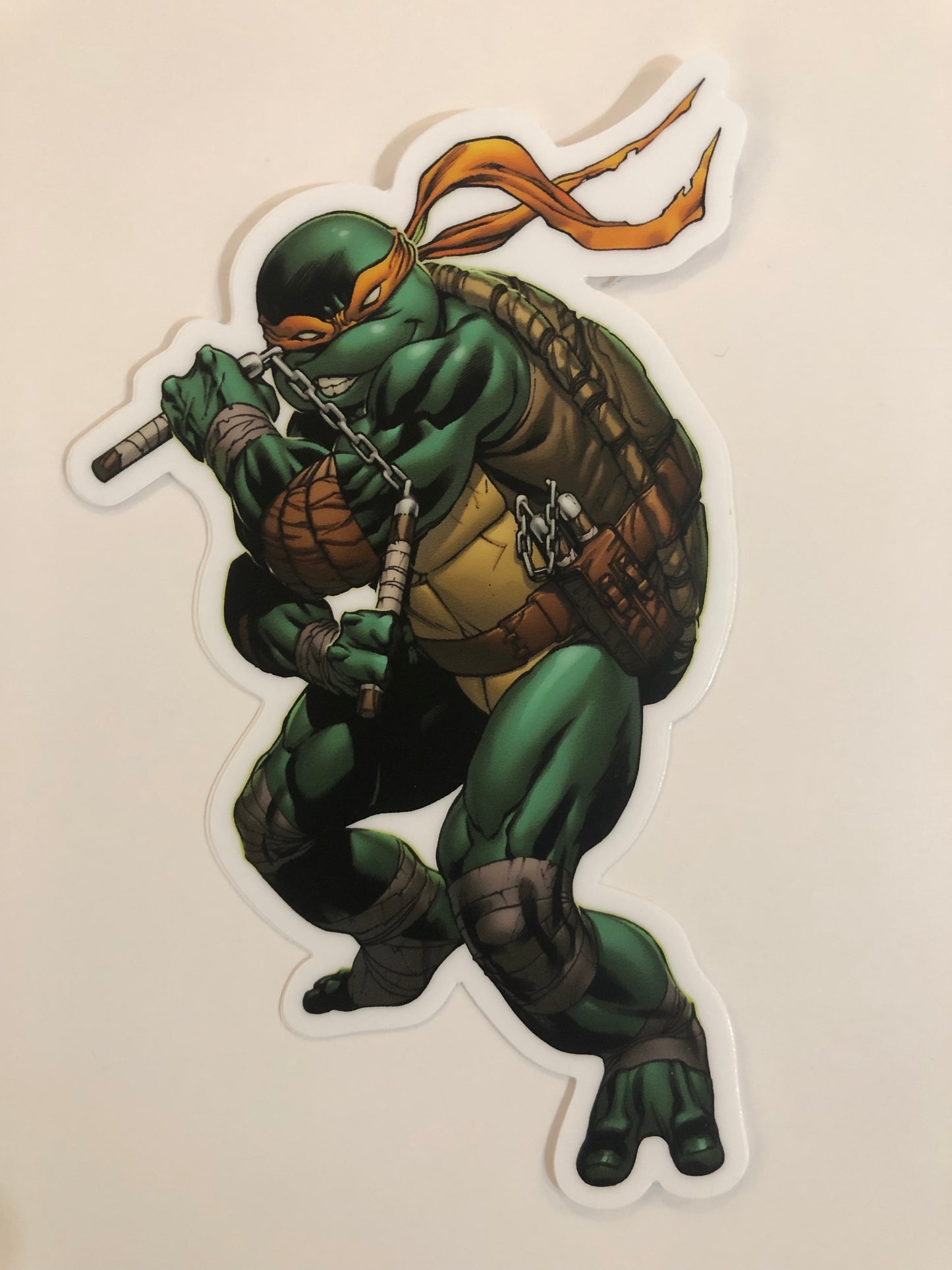 Teenage Mutant Ninja Turtles Sticker