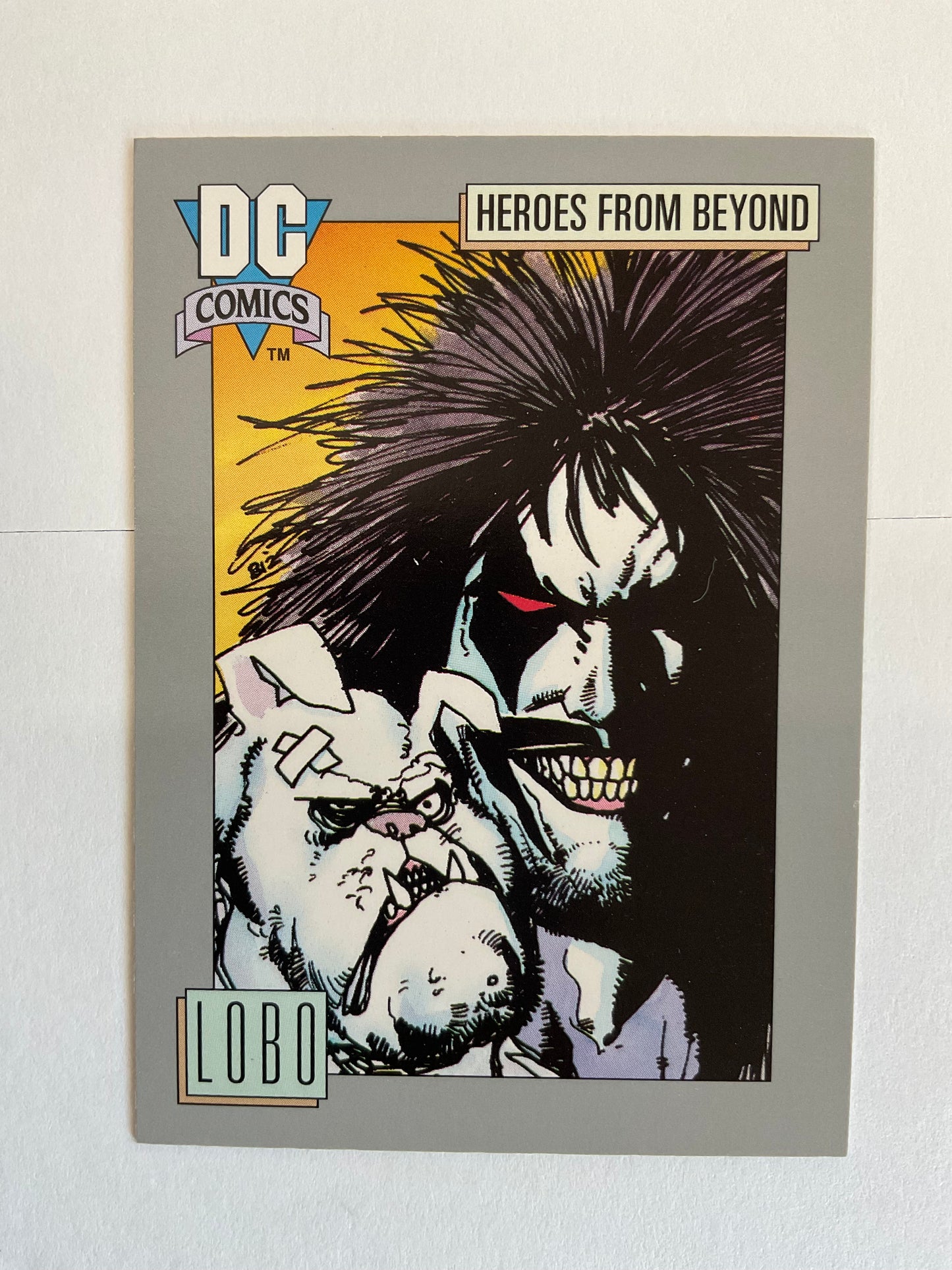 Lobo #1-4 Complete Set (1990)