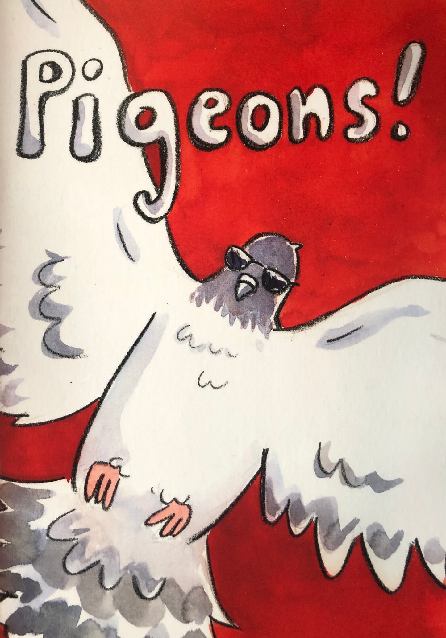 Pigeons! Zine