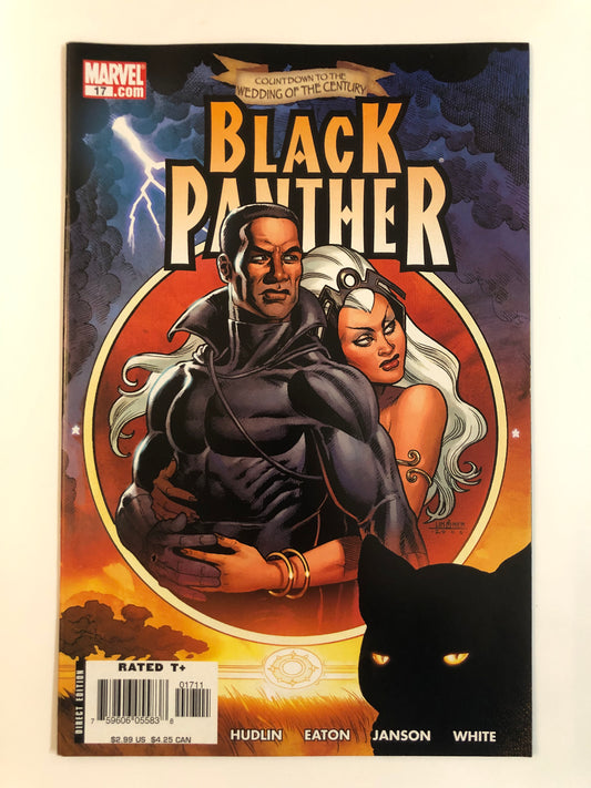 Black Panther #17