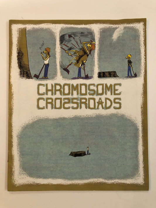 Chromosome Crossroads
