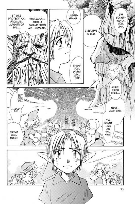 Legend of Zelda, Vol. 1