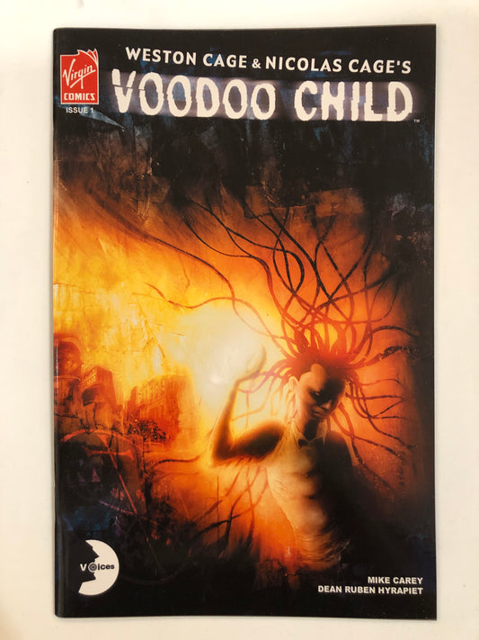 Voodoo Child #1