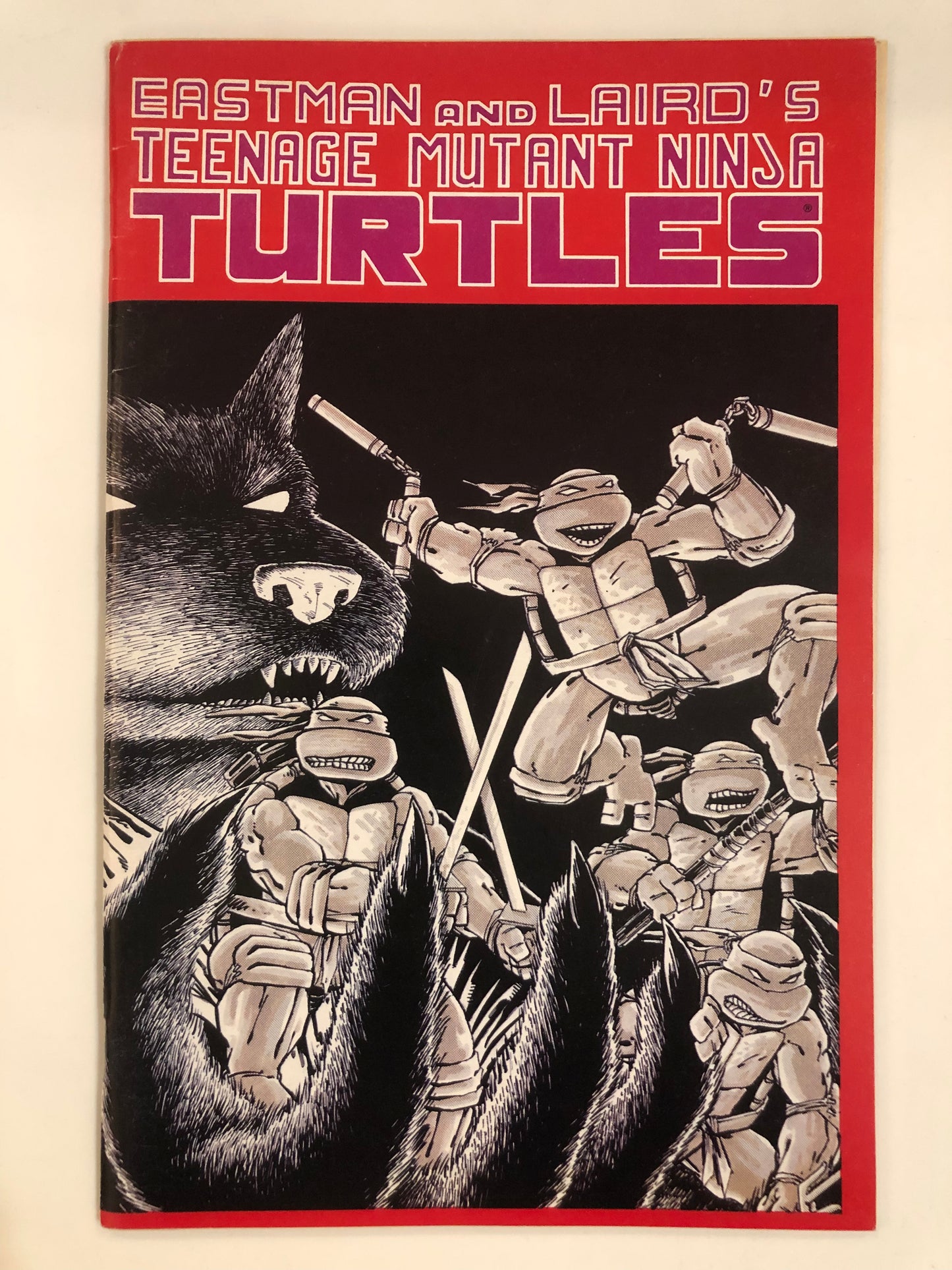 Teenage Mutant Ninja Turtles #1