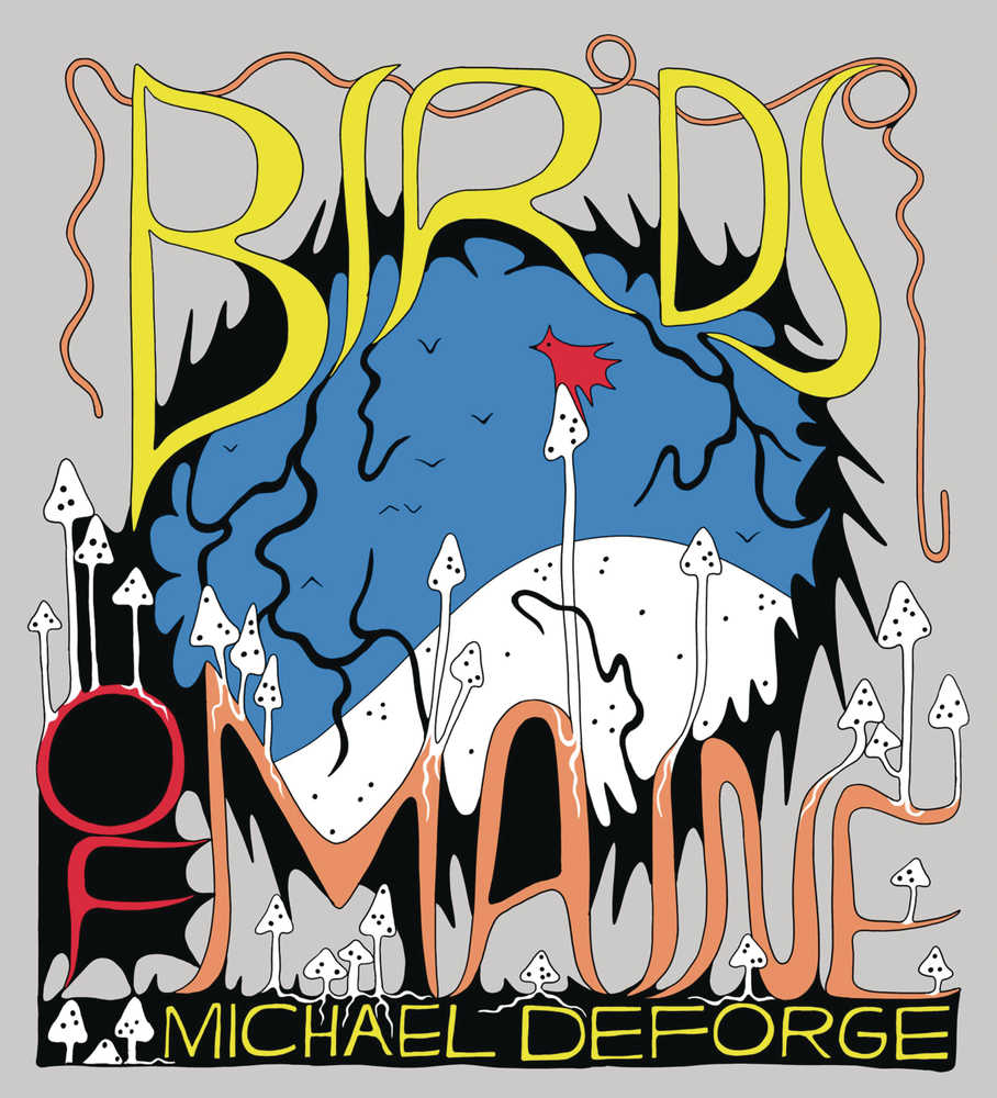 Birds Of Maine Hardcover (Mature)