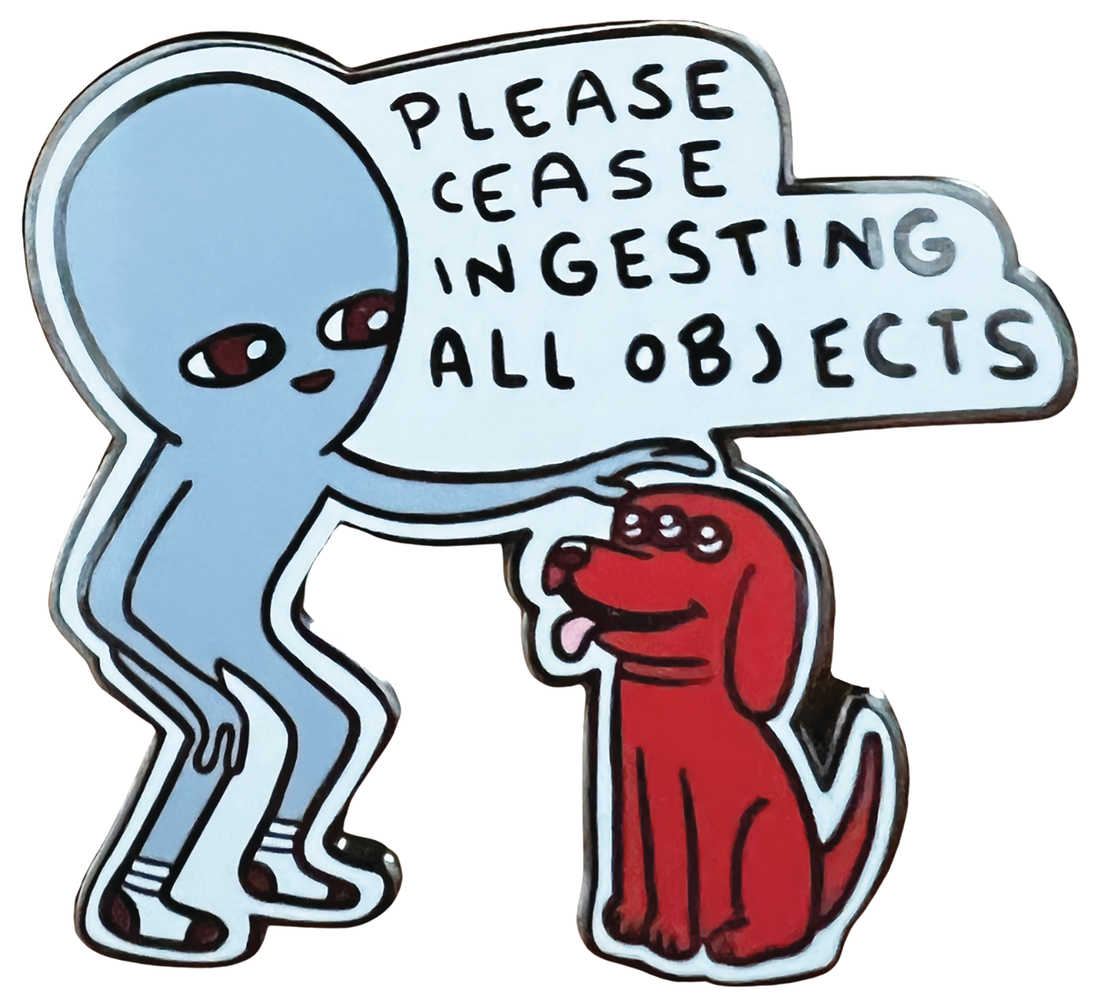 Strange Planet Please Cease Ingesting All Objects Pin