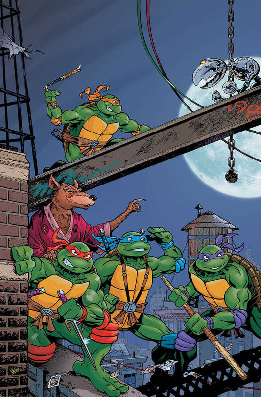 Teenage Mutant Ninja Turtles Saturday Morning Adventure Continued #1 Cover E 25 Copy Variant Edition