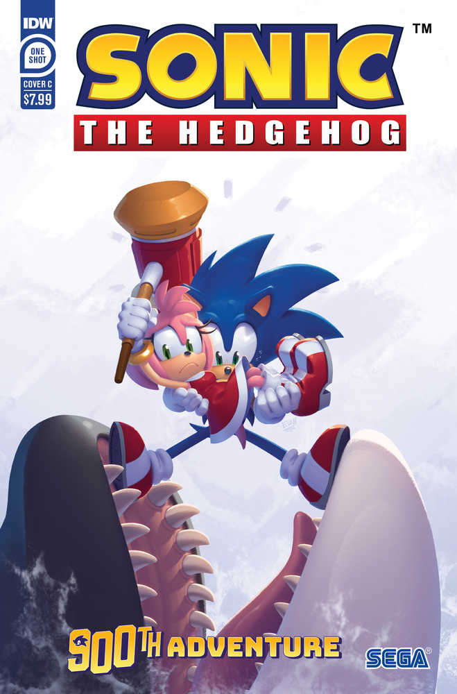 Sonic The Hedgehogs 900th Adventure Cover C Stanley
