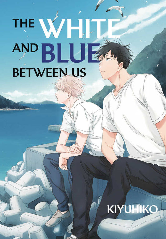 White & Blue Between Us Graphic Novel (Mature)
