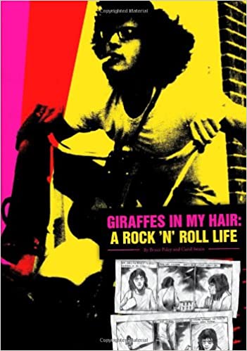 Giraffes in my Hair: A Rock 'N' Roll Life